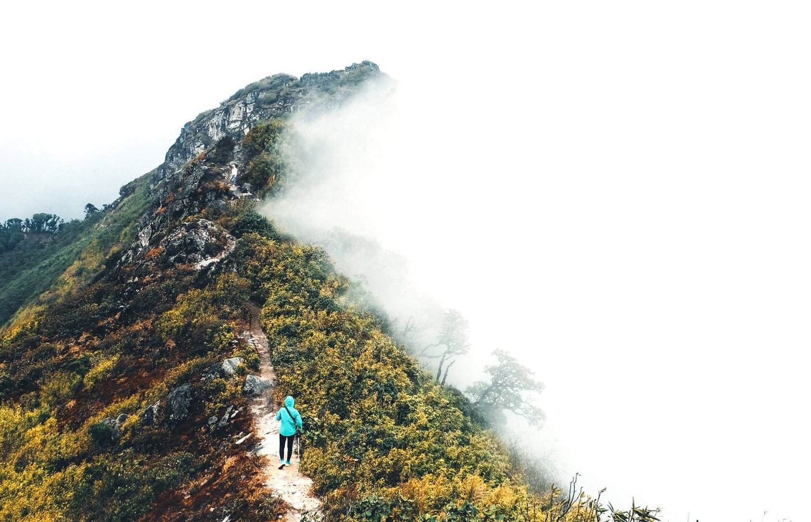 4 Days Hanoi to Ta Xua Peak Trekking Tour